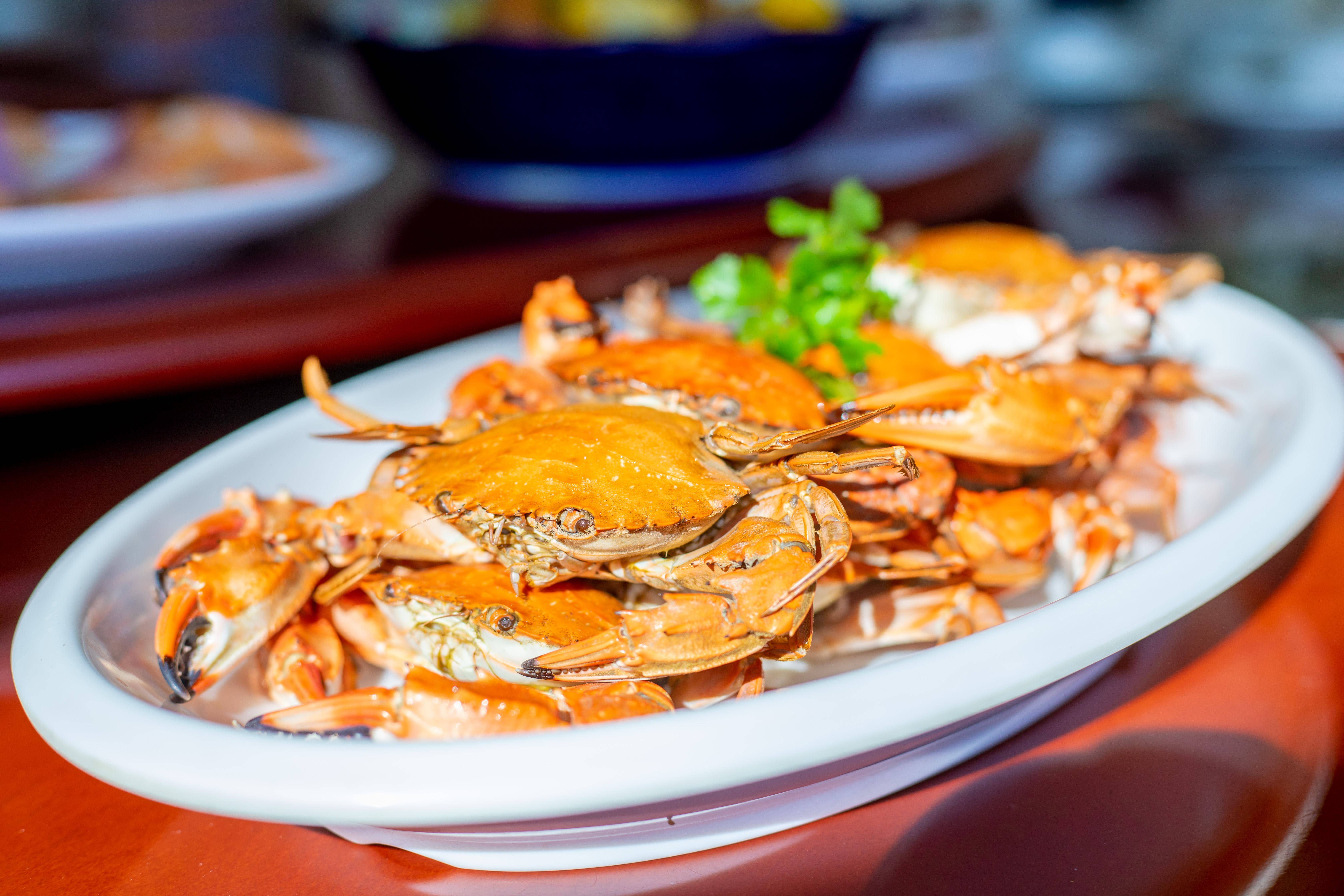 清蒸花盖蟹_副本