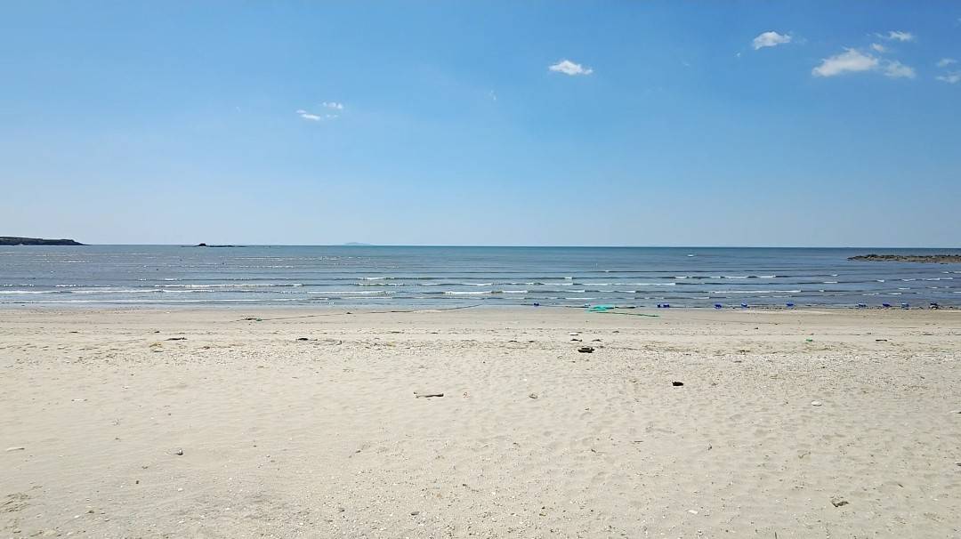 微信图片_20260227164939_53_95