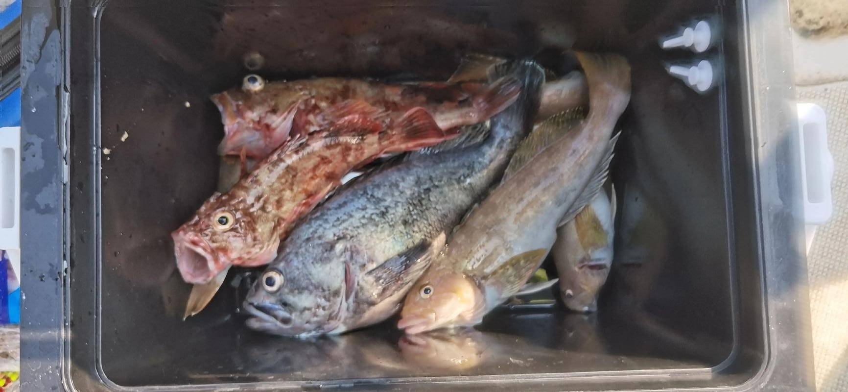 b4c3669390db735c2acb4a74db0ec8f5