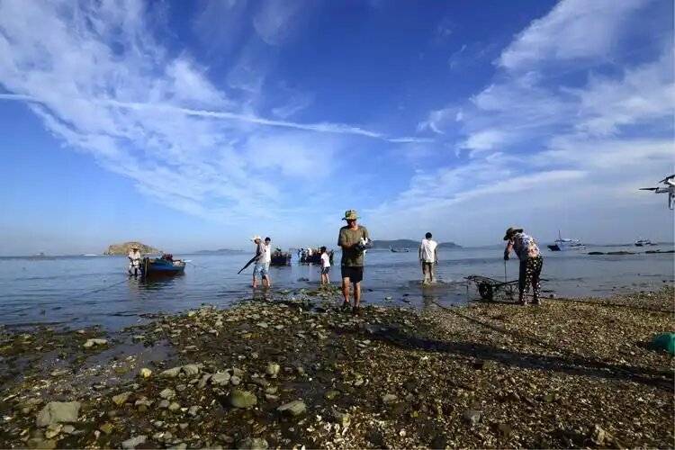 u=2655427479,1987147846&fm=253&fmt=auto&app=138&f=JPEG