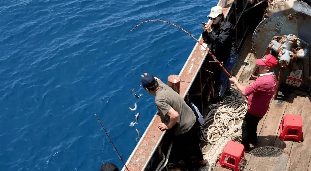 faf36656d1b68cbf33e427a3d6b802e4