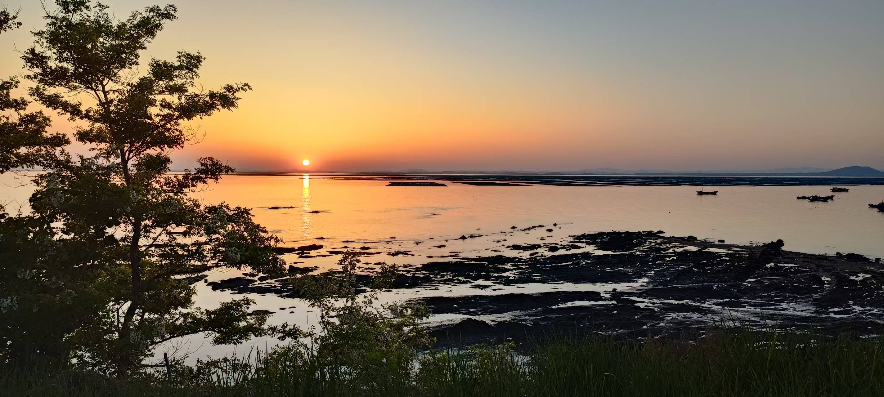 微信图片_20260302084855_64_365