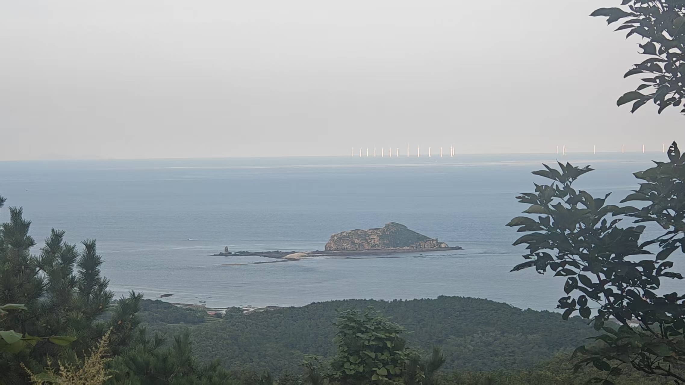 微信图片_20260303162219_69_365